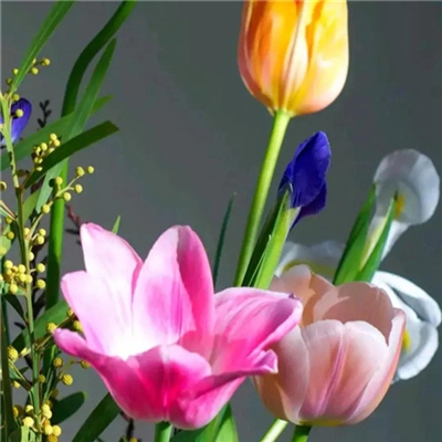 2023年花卉头像(精选24张)