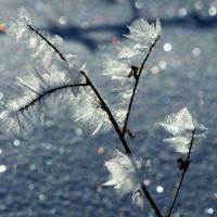 适合做微信头像的风景图片(24张)