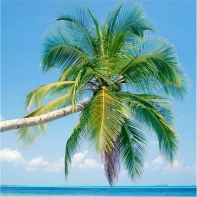 适合做微信头像的风景图片(24张)