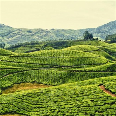 适合做微信头像的风景图片(24张)