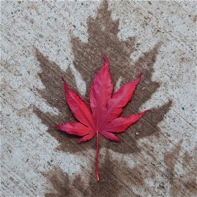 有品位的微信头像简洁低调(精选24张)