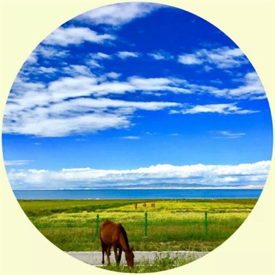 适合女人做头像的风景(精选22张)