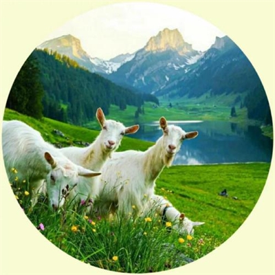 适合女人做头像的风景(精选22张)