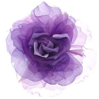 小清新花朵头像唯美(精选24张)