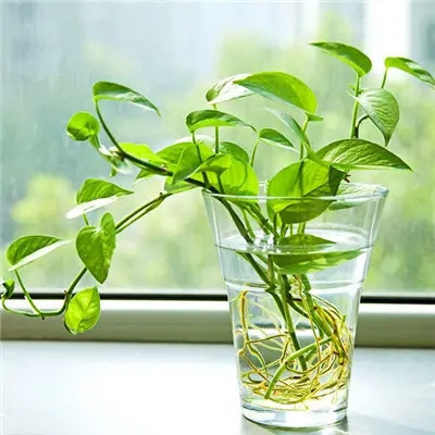 2023适合一辈子好运头像(22张)