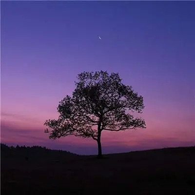 2023适合一辈子好运头像(22张)