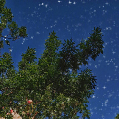 简单干净好看的风景头像(24张)