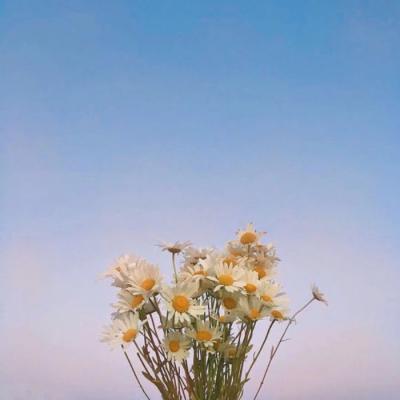 简单干净好看的风景头像(24张)