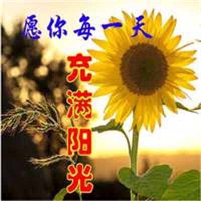 简单干净好看的风景头像(24张)