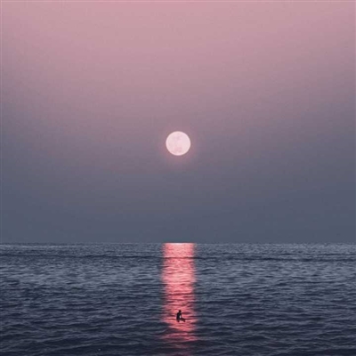 又简单又好看的头像(22张)