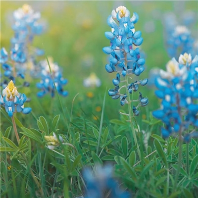 简单干净好看的头像(精选24张)