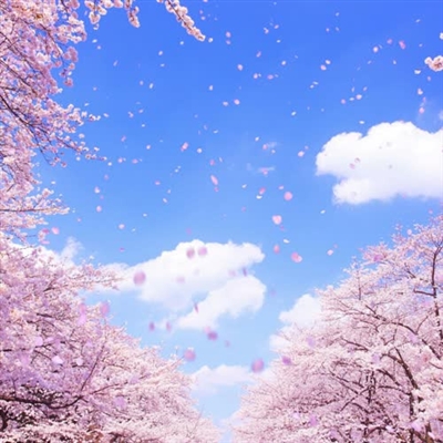 简单干净好看的头像(精选24张)