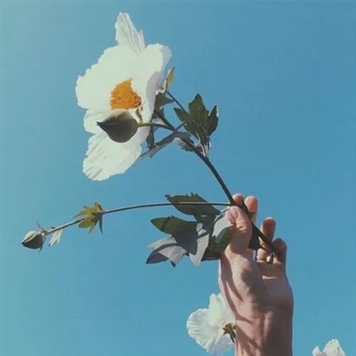 简单干净清爽好看头像(精选20张)