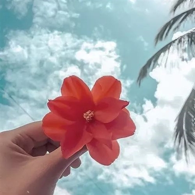 简单干净清爽好看头像(精选20张)