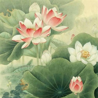 简单耐看微信头像(26张)