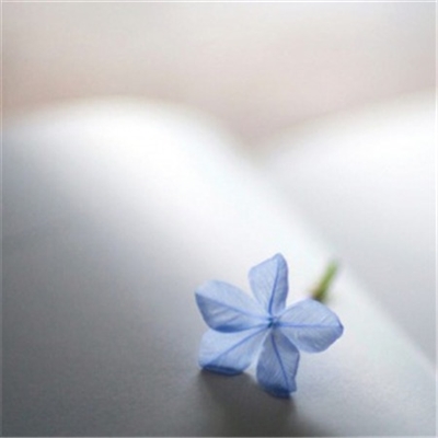 简单耐看微信头像高清(24张)