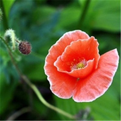 简单耐看微信头像高清(24张)