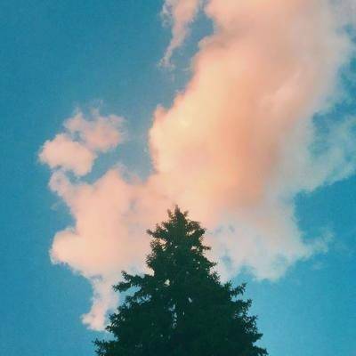 适合妈妈又显年轻的头像图片(22张)