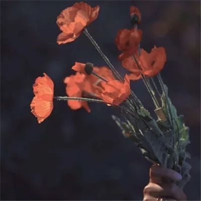 微信头像妈妈专用(精选22张)