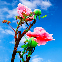 父母头像微信头像花(24张)