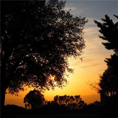 父母辈喜欢的头像(精选20张)