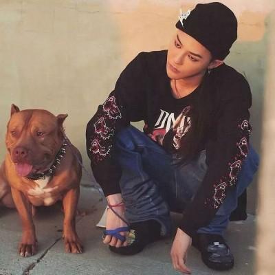 男人正能量有魅力的头像(28张)