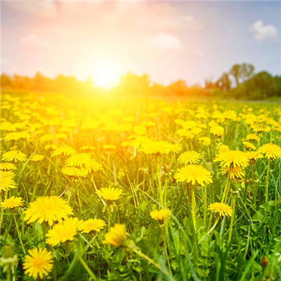 2023年最帅气微信头像(精选24张)