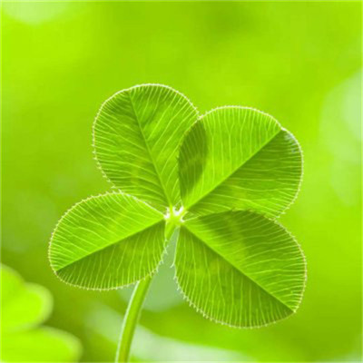 2023年最帅气微信头像(精选24张)