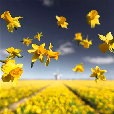 2023年最帅气微信头像(精选24张)