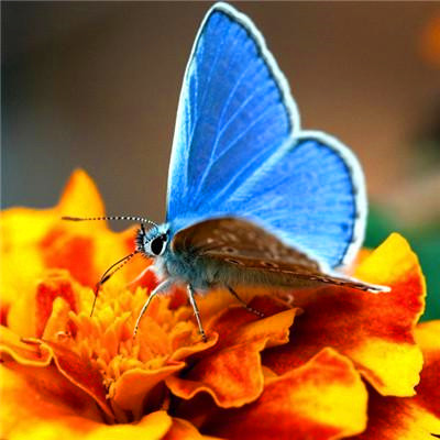 2023年最帅气微信头像(精选24张)