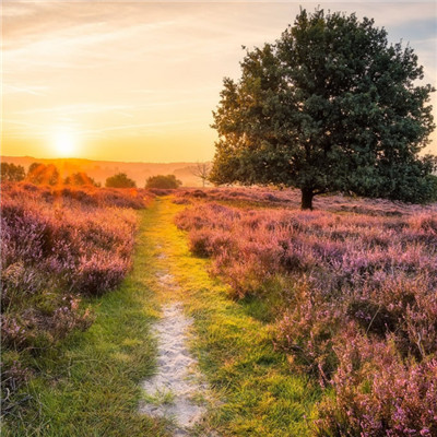 2023年最帅微信头像(18张)