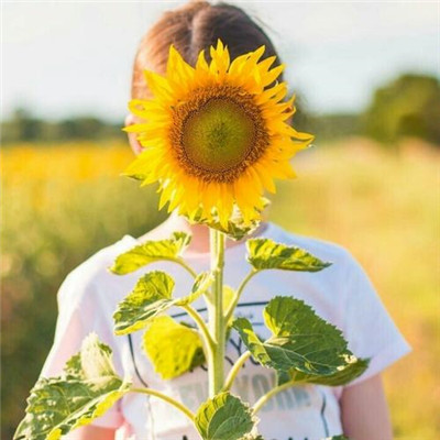 2023微信最火的头像(精选24张)