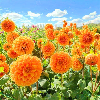 2023年微信最经典头像(精选24张)