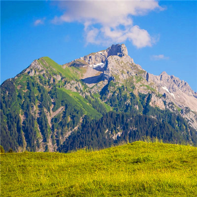 2023年微信最经典头像(精选24张)