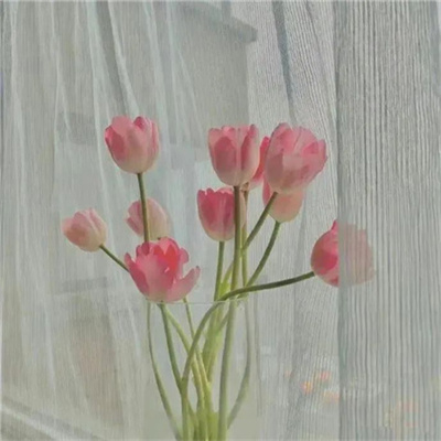 2023最火单身微信头像(30张)