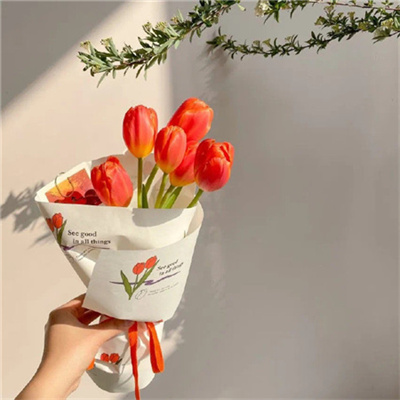 2023最火单身微信头像(30张)