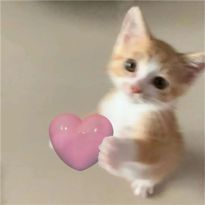 2023最火单身微信头像(30张)