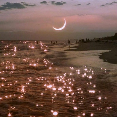 2023微信最吉利头像(精选24张)