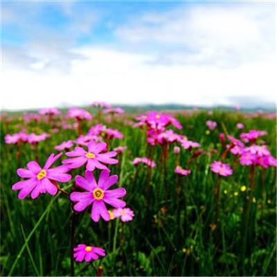 2023最吉利微信头像(精选24张)