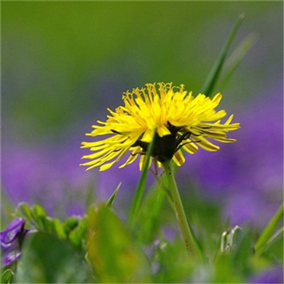 2023最吉利微信头像(精选24张)