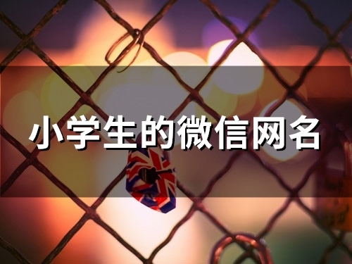 小学生的微信网名(精选132个) 小学生的微信网名(精选132个)