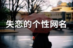 失恋的个性网名(104个)