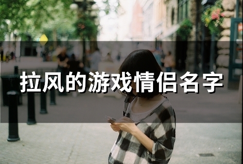 拉风的游戏情侣名字(110个)