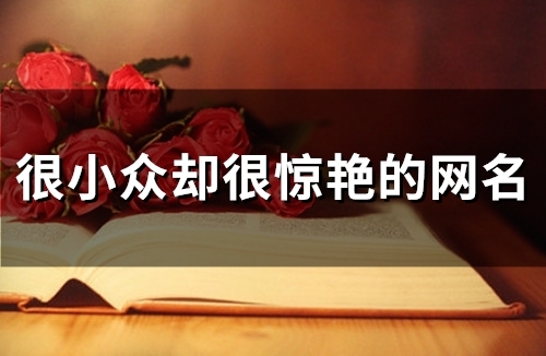 很小众却很惊艳的网名(128个)