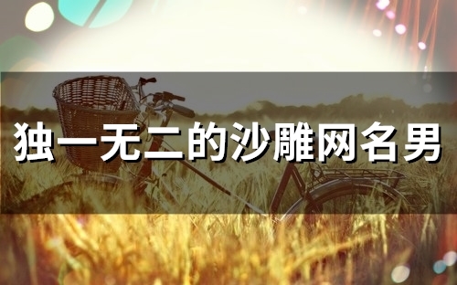 独一无二的沙雕网名男(79个)