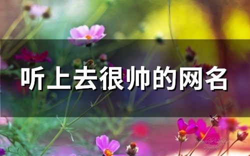 听上去很帅的网名(91个)