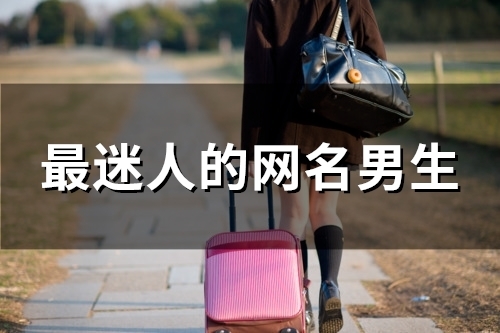 最迷人的网名男生(156个)