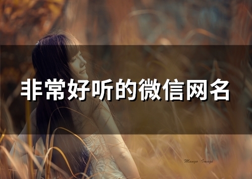 非常好听的微信网名(精选125个)