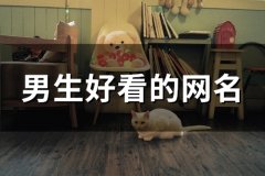 男生好看的网名(精选86个)