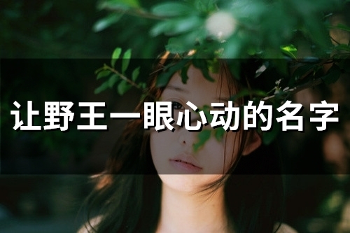 让野王一眼心动的名字(155个)